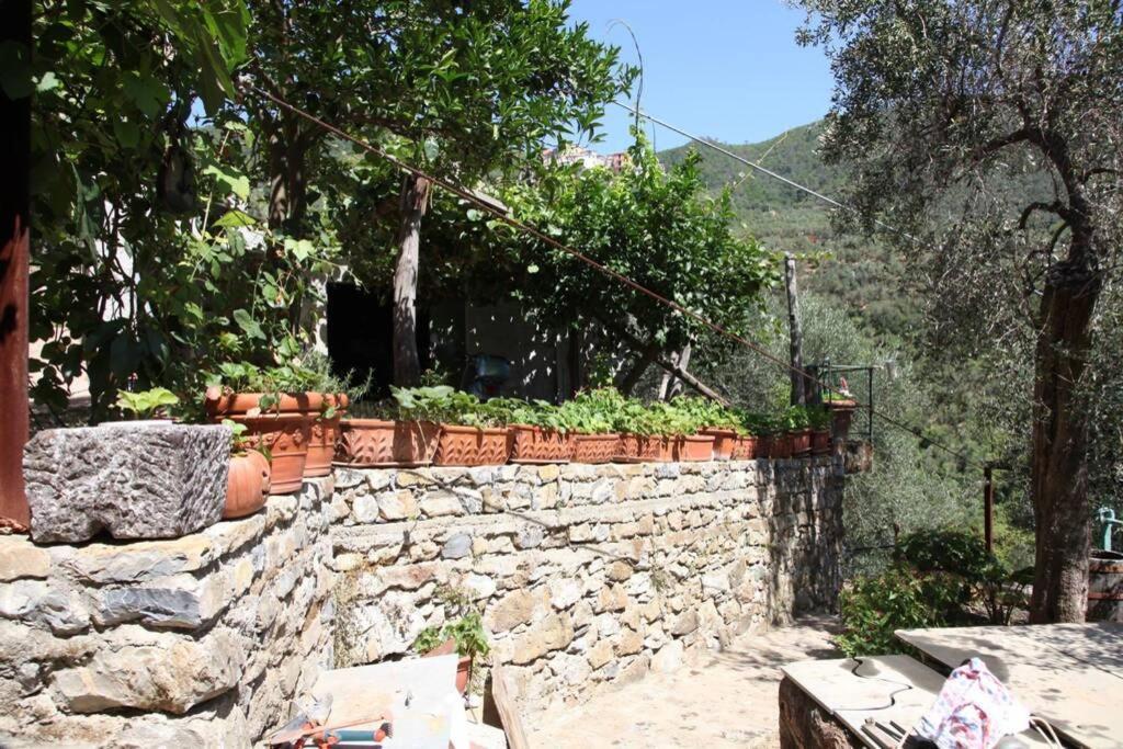 Le Case Della Lizza - Casa Blu Levanto Exteriör bild