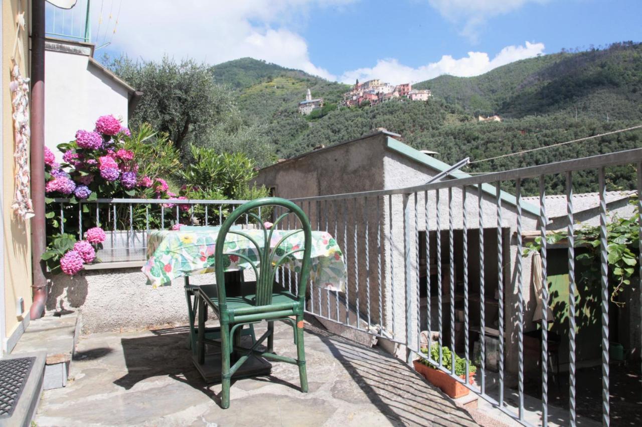 Le Case Della Lizza - Casa Blu Levanto Exteriör bild